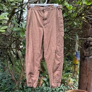 Women’s Everlane Cotton Barrel Pants in Brown